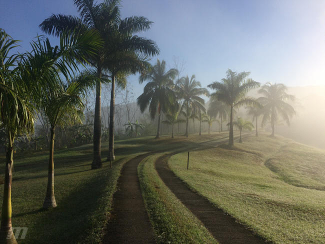 6 month mission trips