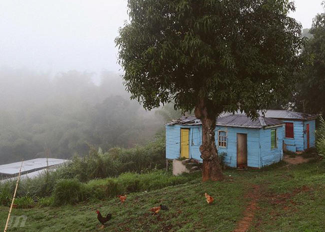 6 month mission trips